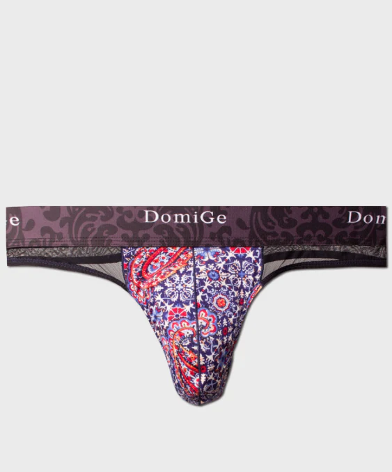2 PCS Sheer and Sexy: Floral Patterned Thong - Image 13