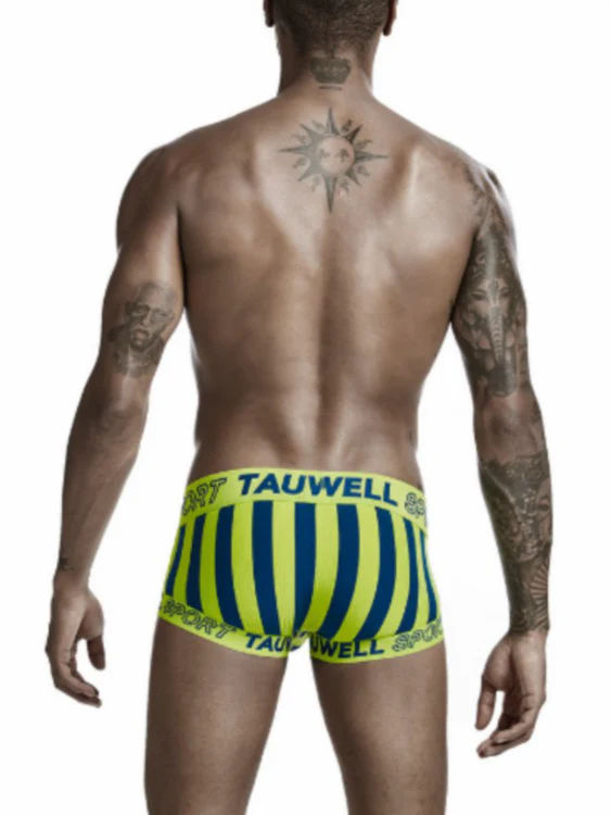 2 PCS Striped Cotton Mesh Boxer Shorts - Image 2