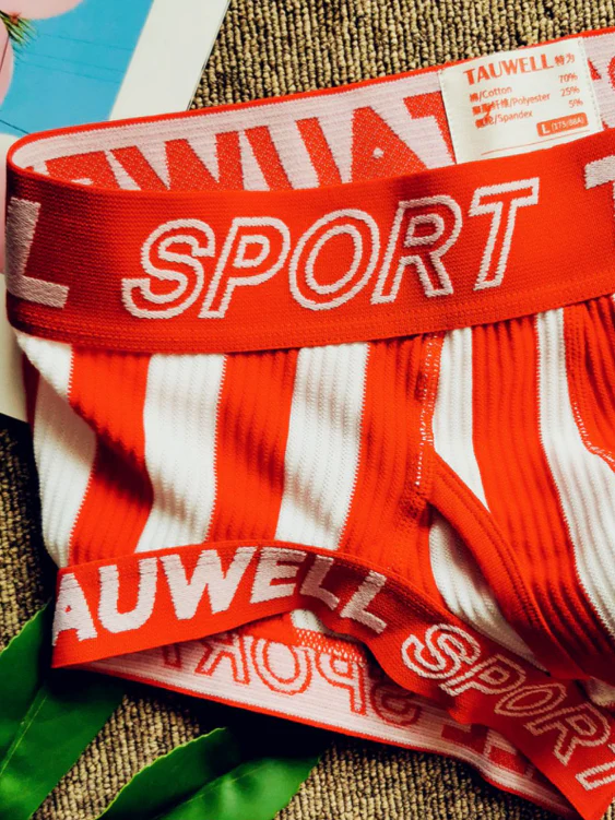 2 PCS Striped Cotton Mesh Boxer Shorts - Image 9
