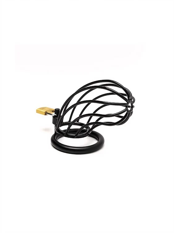 5.5inch Black Metal Cock Cage - Image 5