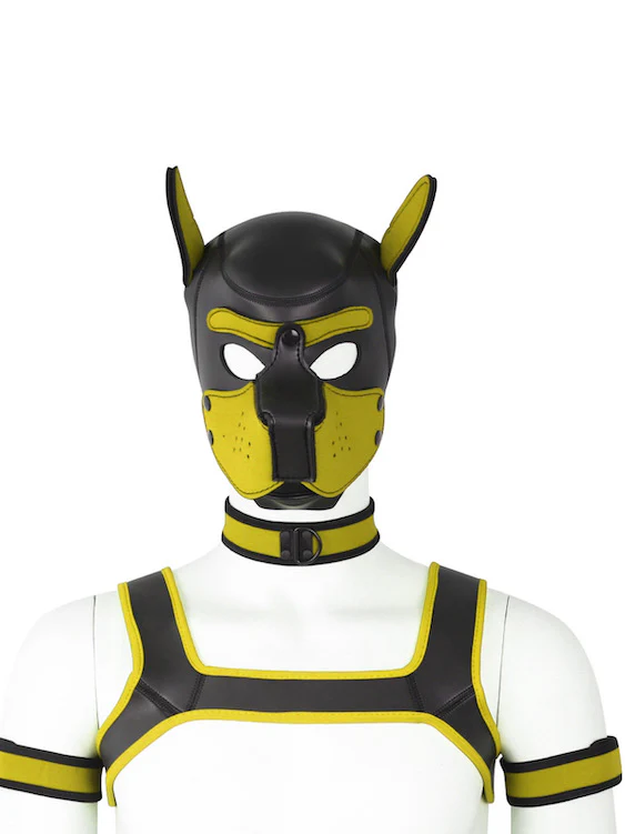 BDSM fetish puppy play gear hood+Collar+Armband+Harness - Image 11