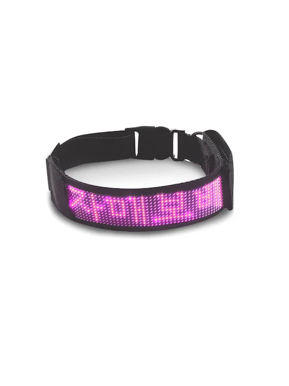 BDSM LED Bluetooth Collar For Good Gay Boy - Image 6