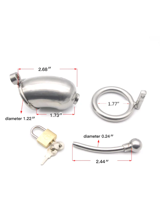 Extra Large Chastity Cage With Cock Plug For Big Dick - Image 10
