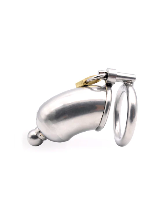 Extra Large Chastity Cage With Cock Plug For Big Dick - Image 2
