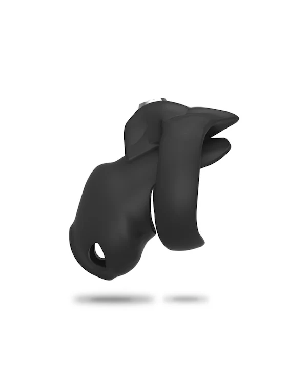 Cock Trainer Chastity Cage V5