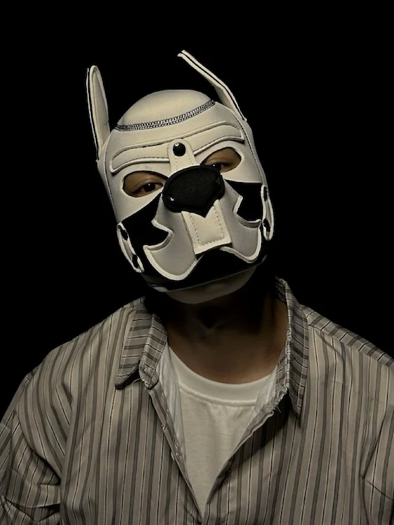 Custom Puppy Hood – 21 Designs to Create Your Unique Pup - Image 3