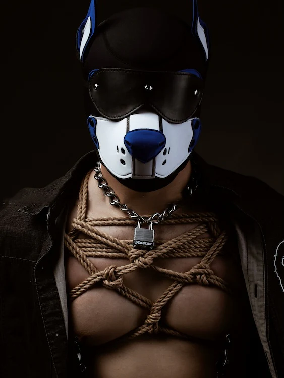 Custom Puppy Hood – 21 Designs to Create Your Unique Pup - Image 7