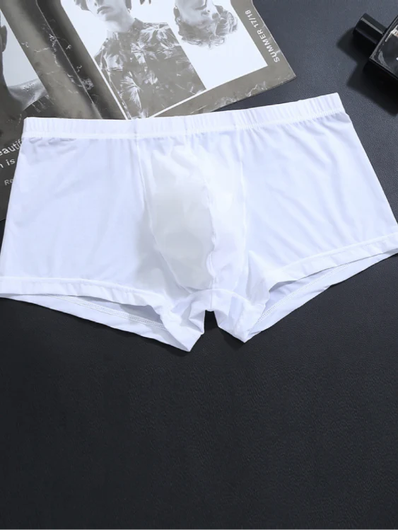 3PCS Icy-silk Men's Boxer Briefs - Image 7