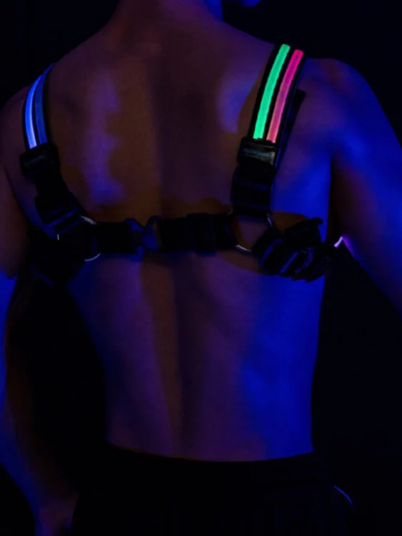 Muscle Worship Variegated Lamp Harness - Image 6