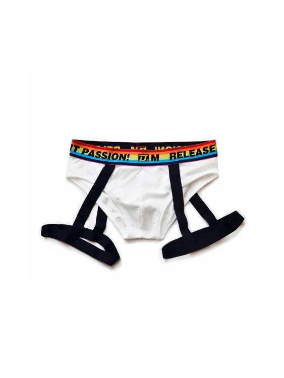 Rainbow Triangle Sexy Underwear for Men - Image 2