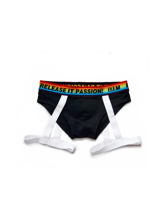 Rainbow Triangle Sexy Underwear for Men - Image 3