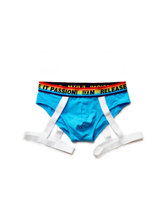 Rainbow Triangle Sexy Underwear for Men - Image 4
