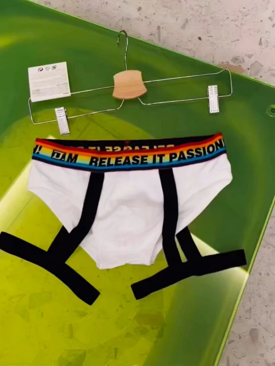 Rainbow Triangle Sexy Underwear for Men - Image 6