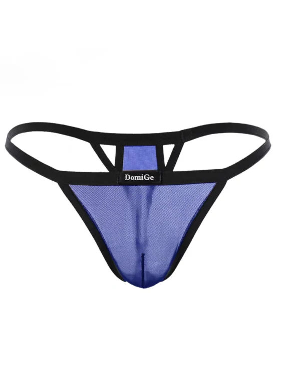 Sexy All-Transparent Mesh G-String for Seduction - Image 6