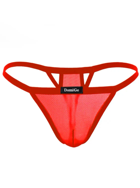Sexy All-Transparent Mesh G-String for Seduction - Image 7