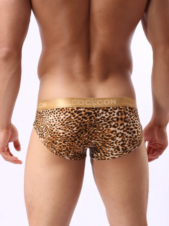 Sexy Low-rise Leopard Print Triangle Briefs - Image 2