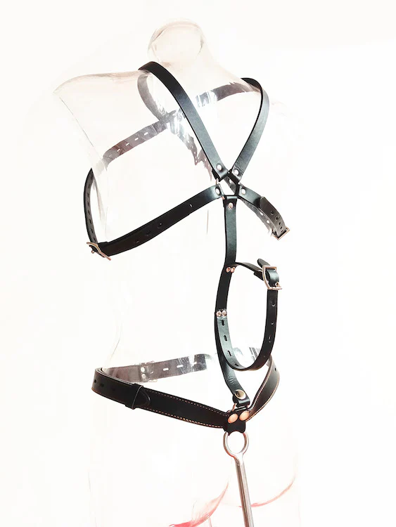 Stainless Steel Ball Anal Hook Set - Image 8