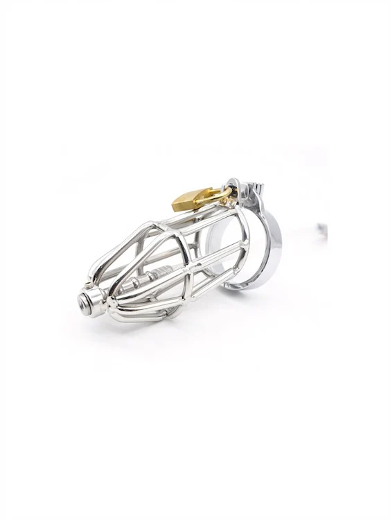 Stainless Steel Chastity Device With Urethral Sounding - Image 4