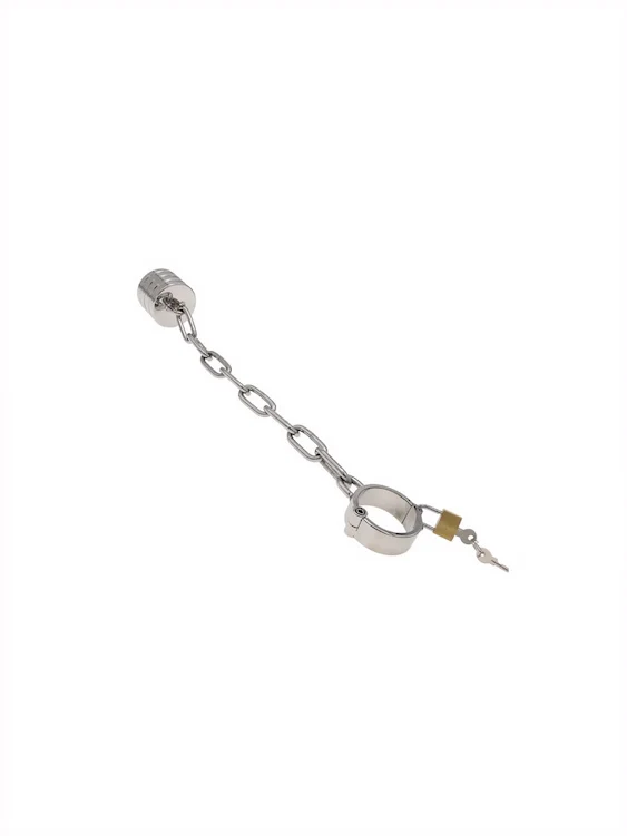 Stainless Steel Cock And Balls Weight With Chain - Image 5