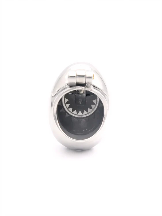 Stainless Steel Full-Coverage Balls Weight - Image 6