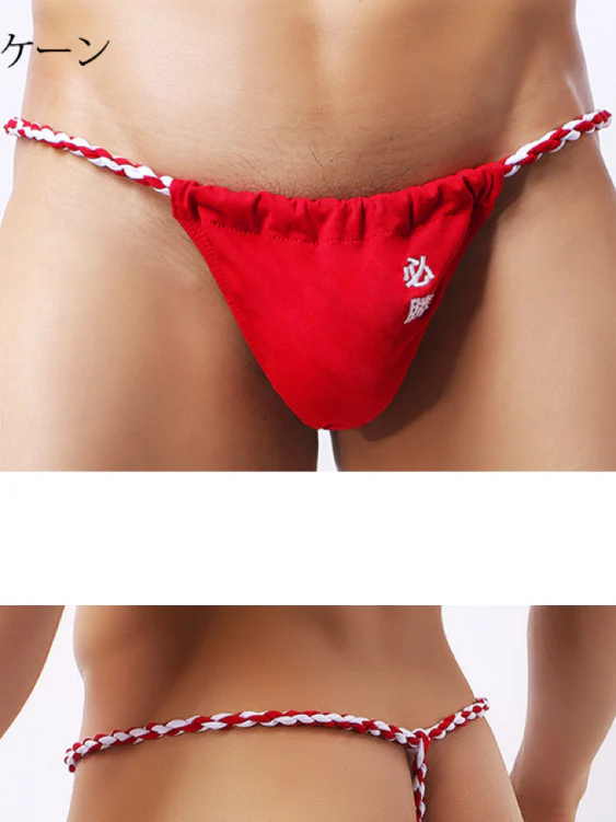Success! Embroidered Japanese Sumo G-String - Image 20