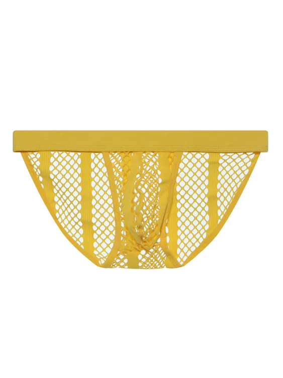Transparent Mesh High-cut Sexy Brief - Image 8
