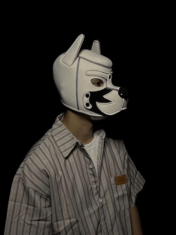 White Neoprene Pup Hood - Image 5